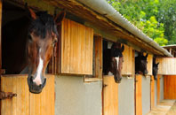 free Feltwell stable construction quotes